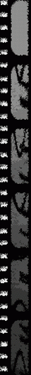 Background1